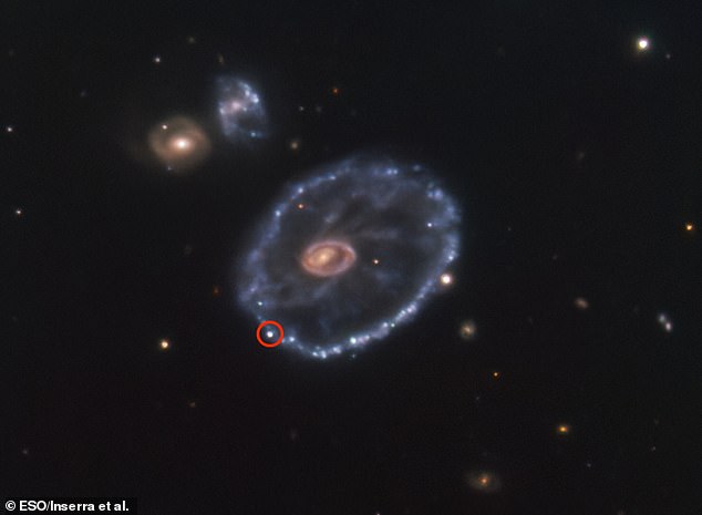 Die Supernova mit dem Namen SN2021afdx ereignete sich in der ungewöhnlich geformten Cartwheel-Galaxie, die sich im Sternbild Sculptor befindet.