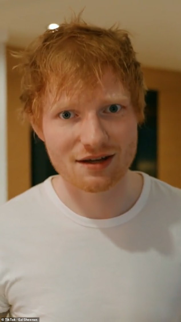Unterstützung: Ed Sheeran schickte über einen Videolink aus Kiew eine Unterstützungsbotschaft an eine ukrainische Band, die anbot, ein Benefizkonzert zu spielen