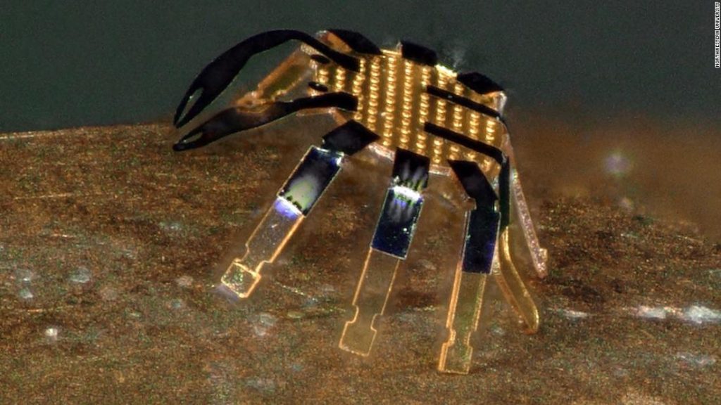 Kleine Roboterkrebse sind die kleinsten ferngesteuerten Laufroboter der Welt