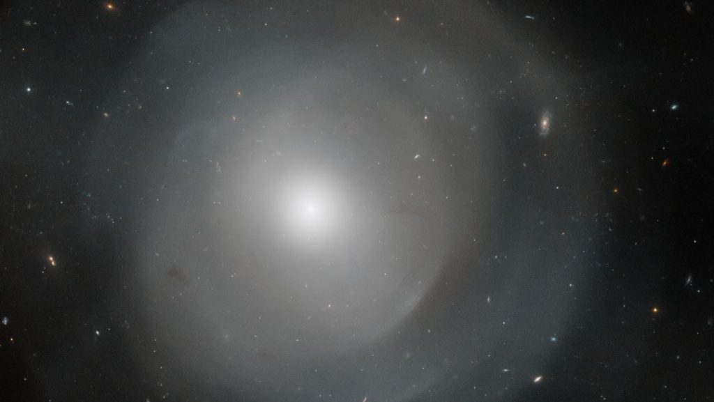 Das Hubble-Teleskop entdeckt eine riesige Galaxie mit mysteriösen Muscheln