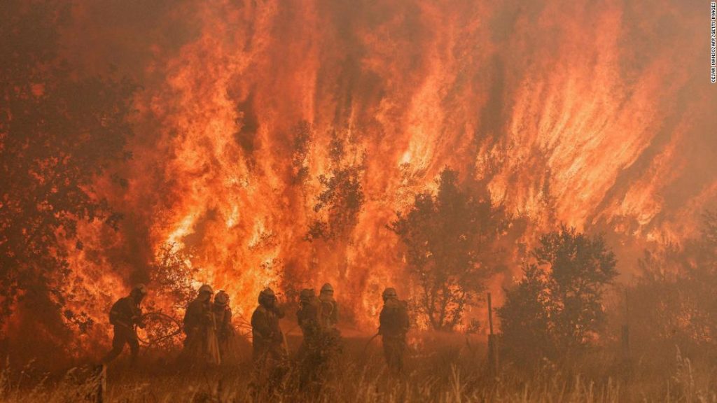 Europa kämpft in sengender Hitze gegen Waldbrände
