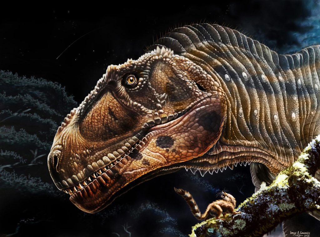 Die Entdeckung eines neuen riesigen Dinosauriers zeigt, warum so viele prähistorische Fleischfresser so kleine Waffen hatten