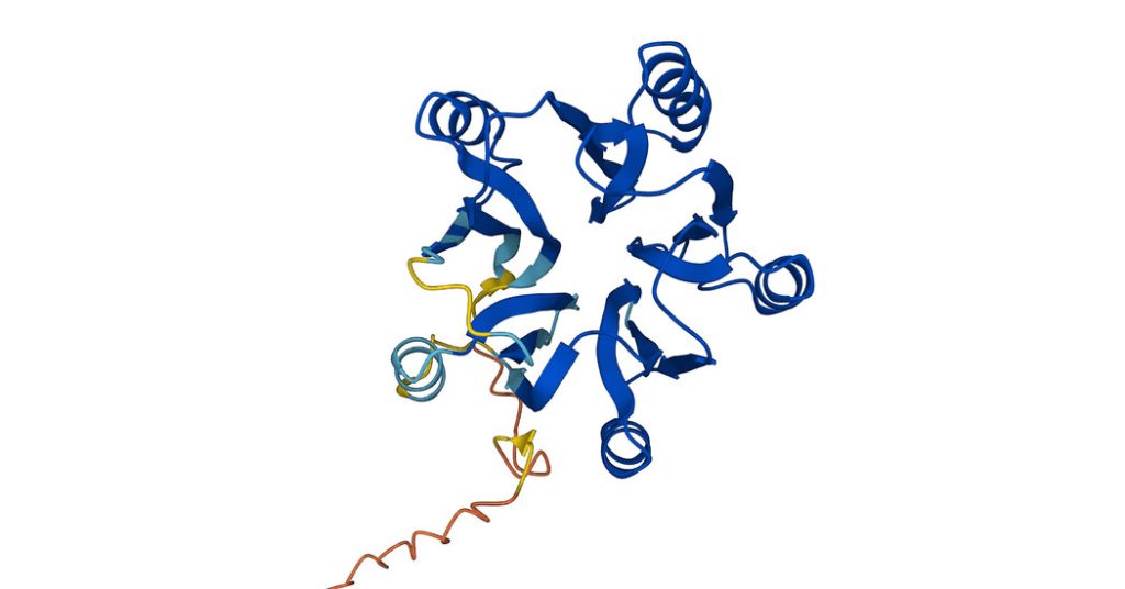 KI sagt die Form fast aller in der Wissenschaft bekannten Proteine ​​voraus