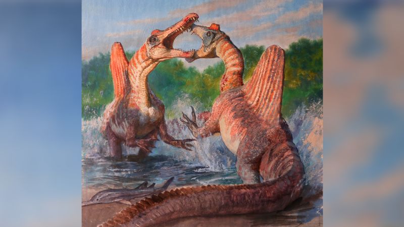 Der furchterregende Spinosaurus war schließlich keine prähistorische Meeresgeißel